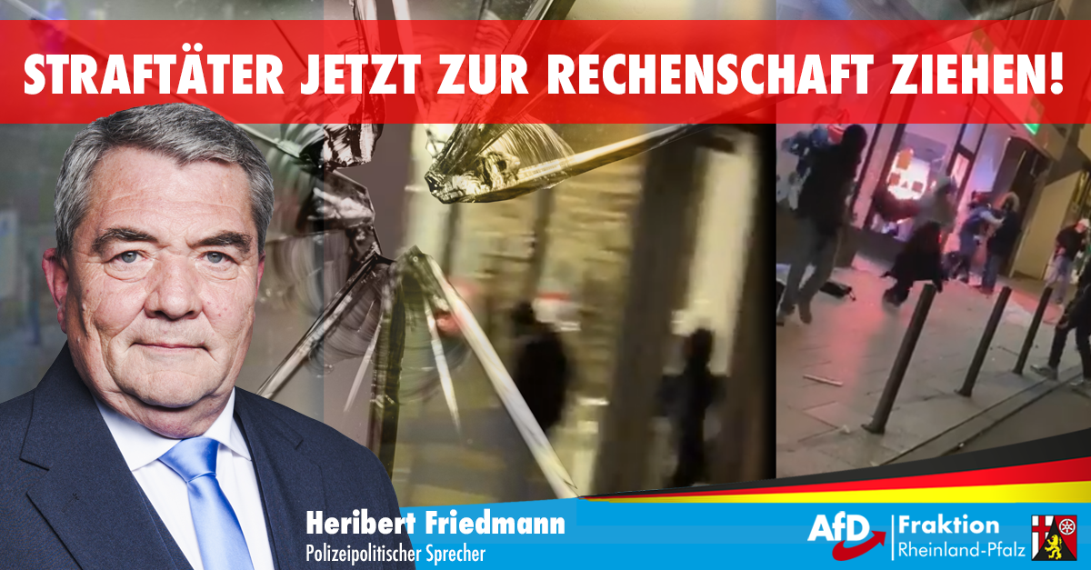 Migranten und Linksextreme randalieren in Stuttgart